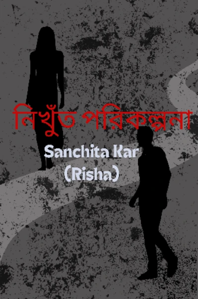 নিখুঁত পরিকল্পনা