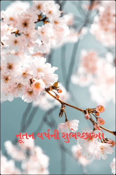 નૂતન વર્ષની શુભેચ્છાઓ