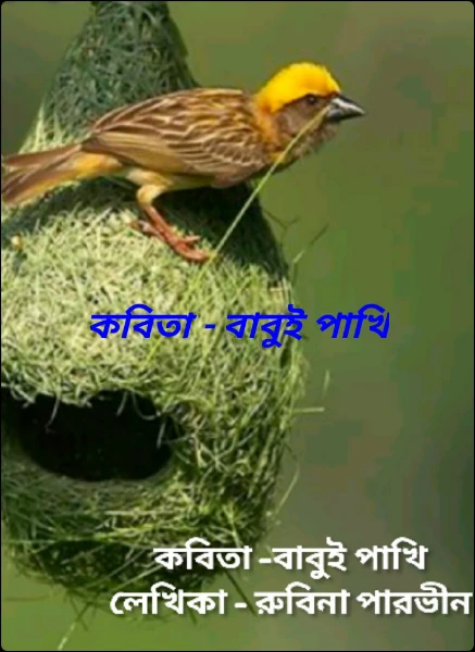 কবিতা - বাবুই পাখি