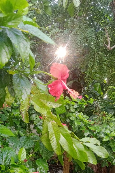భర్త అనుమానం... భార్య సమాధానం... 1