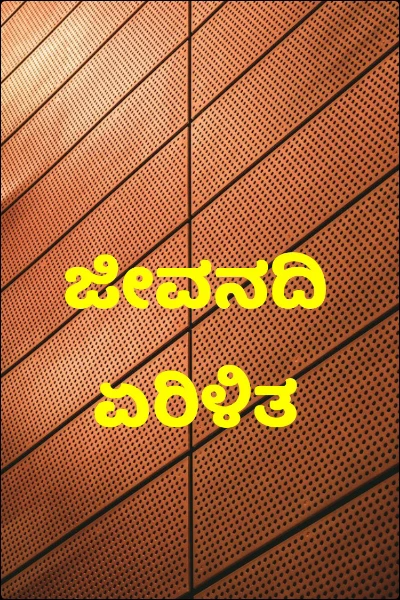 ಜೀವನದಿ ಏರಿಳಿತ