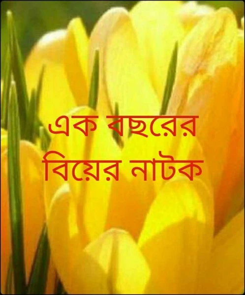 এক বছরের বিয়ের নাটক