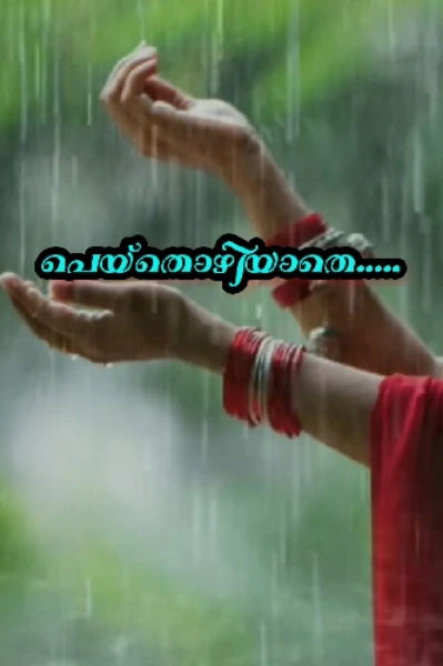 പെയ്തൊഴിയാതെ....