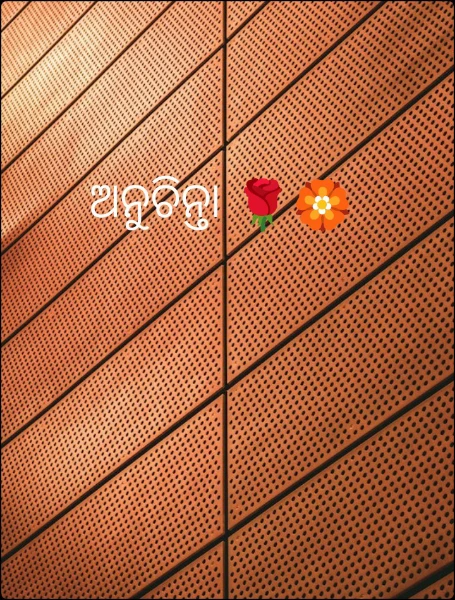 ଅନୁଚିନ୍ତା 🌹🏵️
