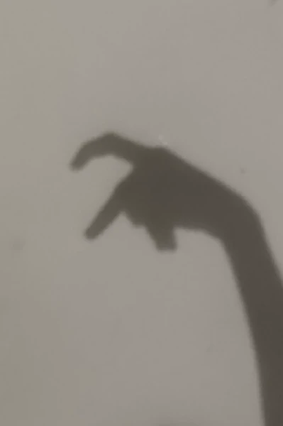 సరి "ఏ"సరి..