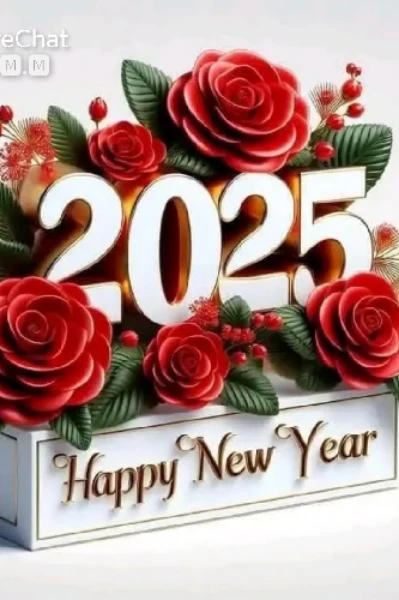 नुतन वर्ष..2025 ..🎉
