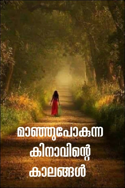 മാഞ്ഞുപോകുന്ന കിനാവിന്റെ കാലങ്ങൾ