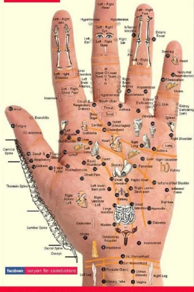 मुद्रा-एक योग्