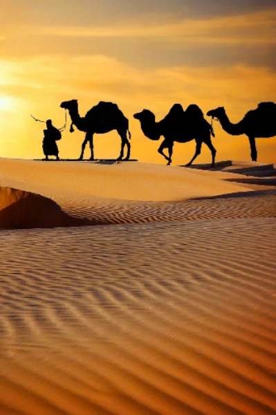 বালি ঝড়