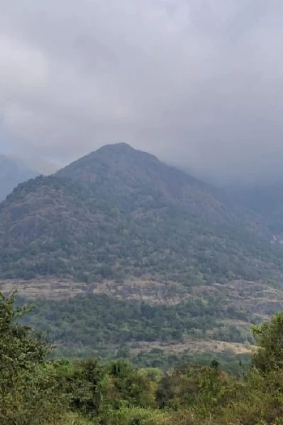 அம்மாச்சி வீடு