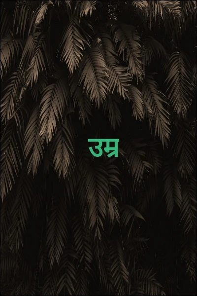 उम्र