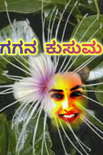ಗಗನ ಕುಸುಮ