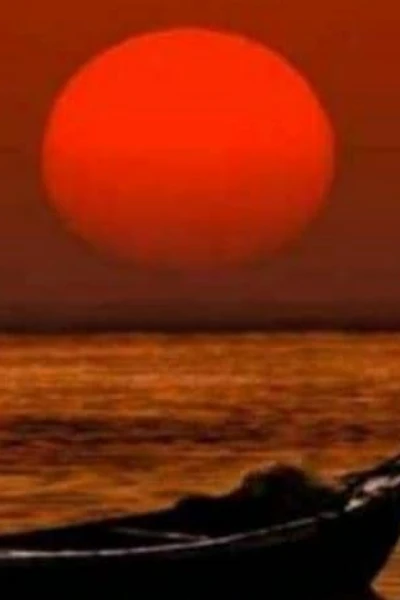 कोई अपना सा