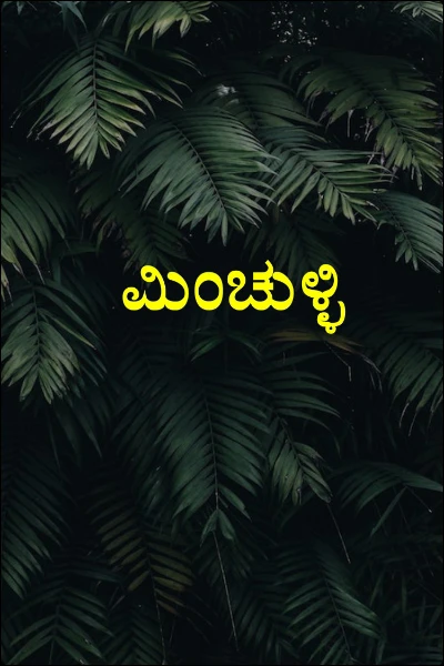 ಮಿಂಚುಳ್ಳಿ