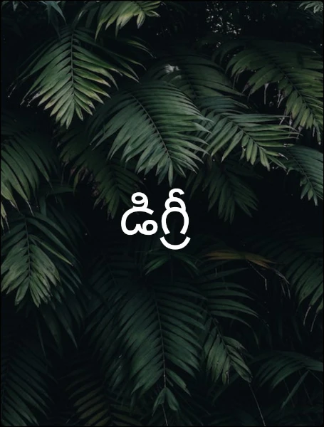 డిగ్రీ