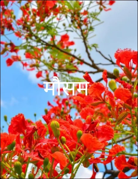 मौसम