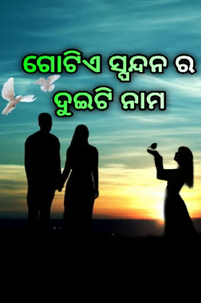ଗୋଟିଏ ସ୍ପନ୍ଦନ ର ଦୁଇଟି ନାମ ♥️