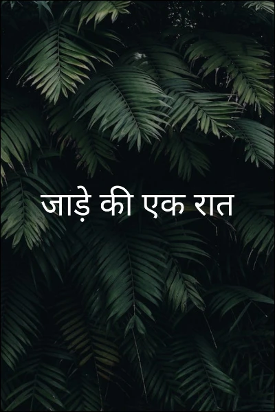 जाड़े की एक रात