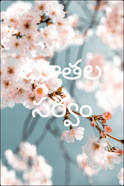 భూతల సర్వం