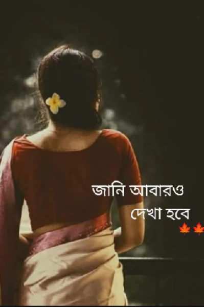 জানি আবার ও দেখা হবে 🍁🍁
