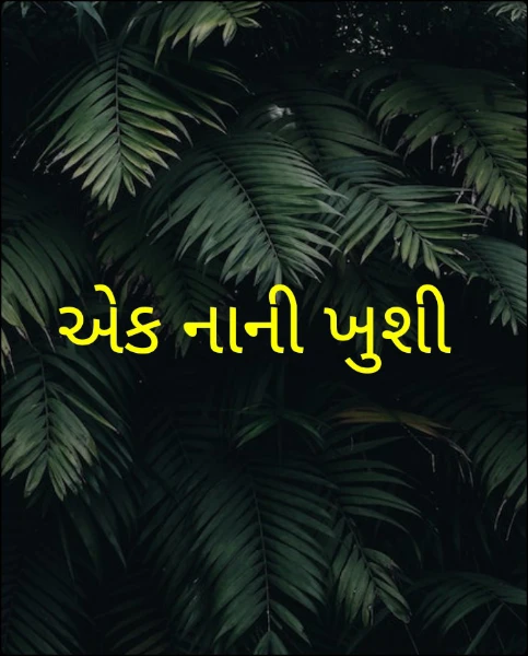 એક નાની ખુશી