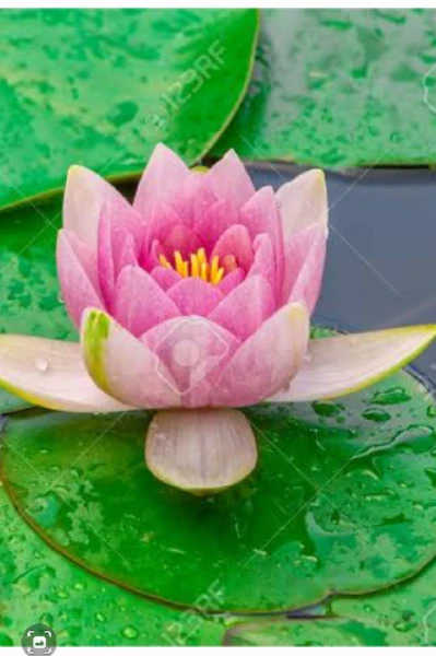 অন্তরালে পর্ব(১)