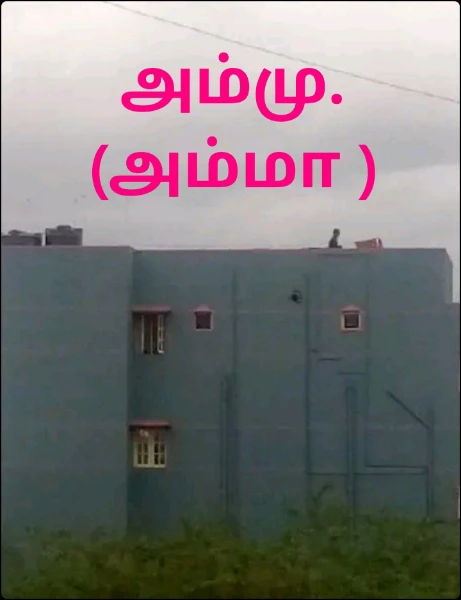 அம்மு.(அம்மா )