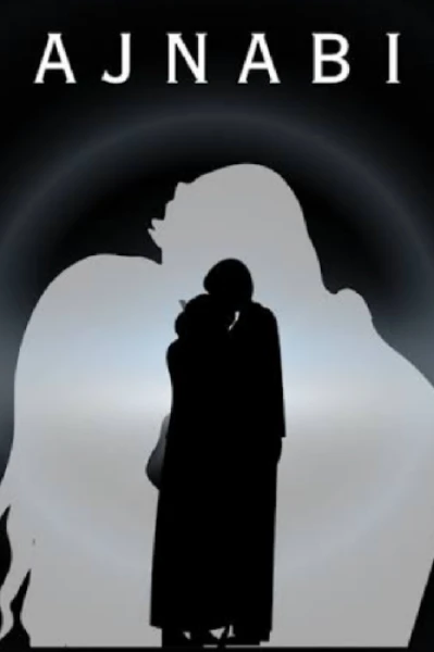 चलो एक बार फिर से अजनबी बन जाये हम दोनों