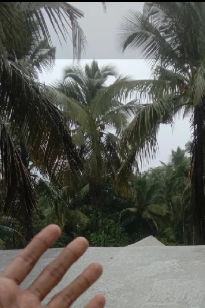 ചിറാപുഞ്ചി മഴയത്ത്