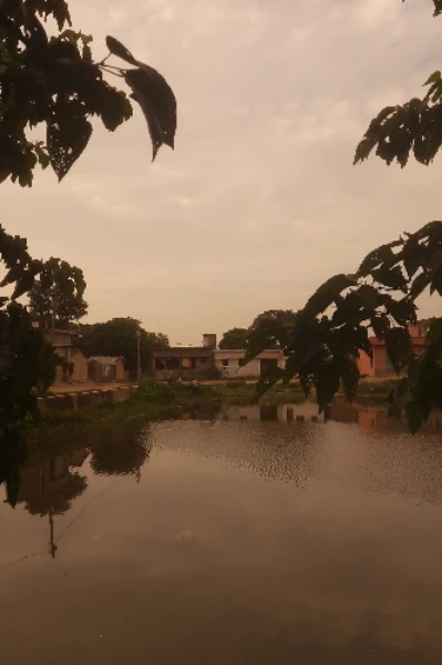 Title: मिट्टी की ख़ामोशी — एक पहचान की आवाज़