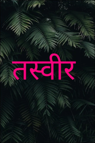 तस्वीर