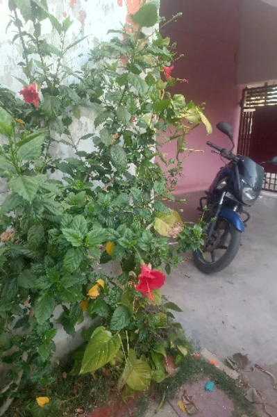 रिवेंज फॉर मम्मी 1