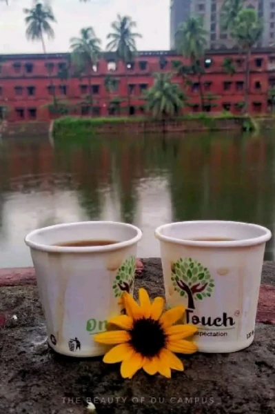 নক্ষত্রের রাত