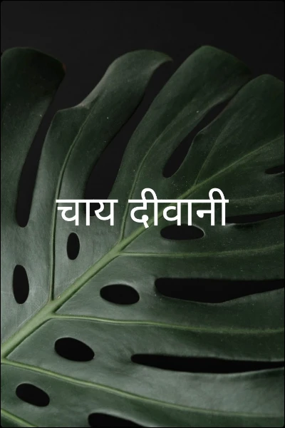 चाय दीवानी