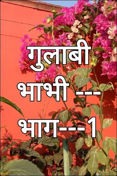 गुलाबी भाभी ---भाग---1