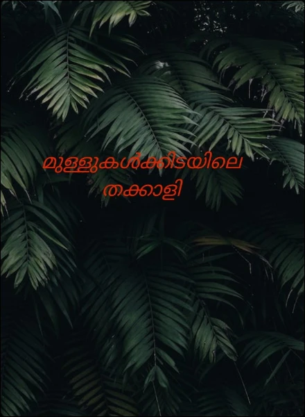മുള്ളുകൾക്കിടയിലെ തക്കാളി