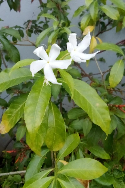 உள்ளங்கையில் உலகம் (❤️✨)