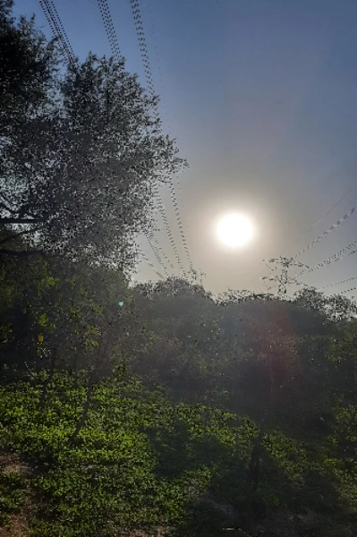 "पूर्णिमा और वह स्त्री"