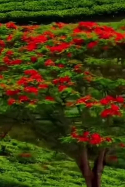 തനിയെ