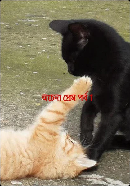 অচেনা প্রেম পর্ব 1