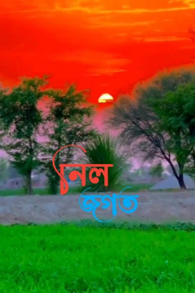নীল জগত