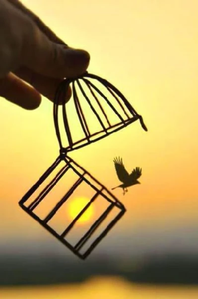 शुद्धता – तन की या मन की