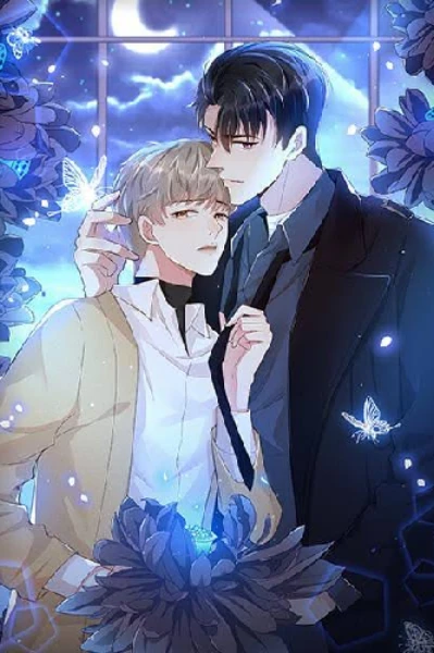 ✨️Heartless Mafia's Heartbeat ✨️(BL love)