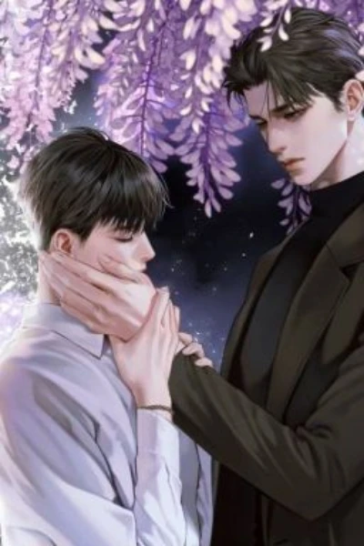 Love (BL,complete)
