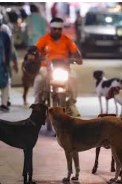 कुत्तों की लड़ाई और मानवता की मौत.....