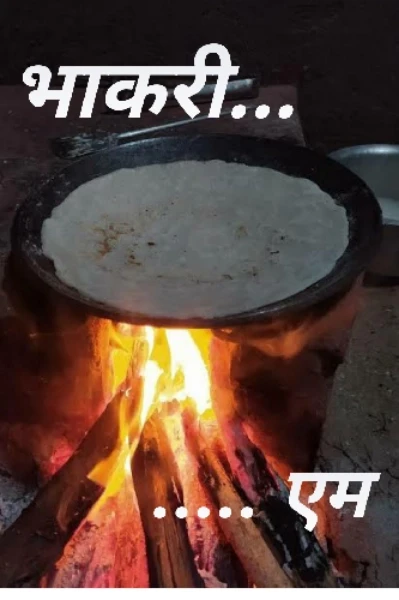 भाकरी ( कादंबरी )