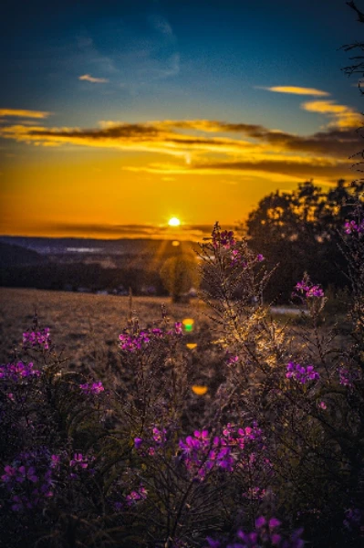 পাতা ঝরার দিন গুলো