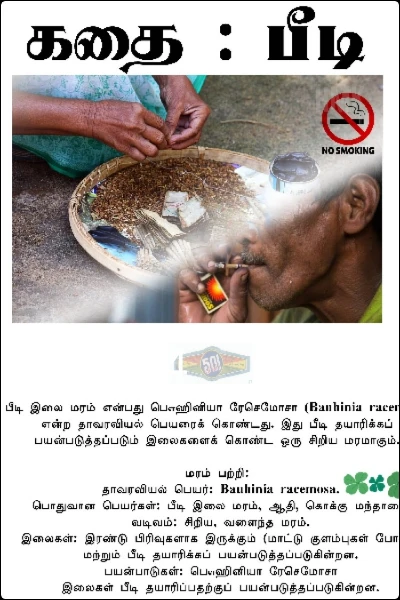 பீடி 2014
