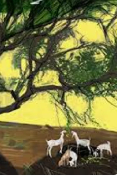 बांधावरल्या बोरी बाभळी