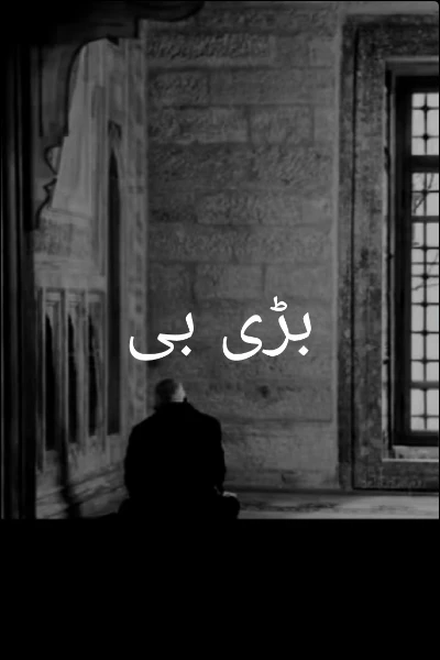بڑی بی